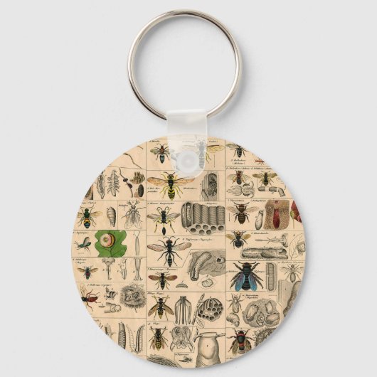 Bijen Insect Bug Wasp Natuurlijke Geschiedenis Sleutelhanger (Voorkant)
