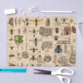 Bijen Insect Bug Wasp Natuurlijke Geschiedenis Tissuepapier (Craft)