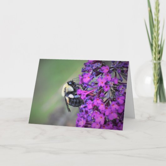 Bijen, kaart (Voorkant)