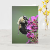Bijen, kaart (Gele Bloem)