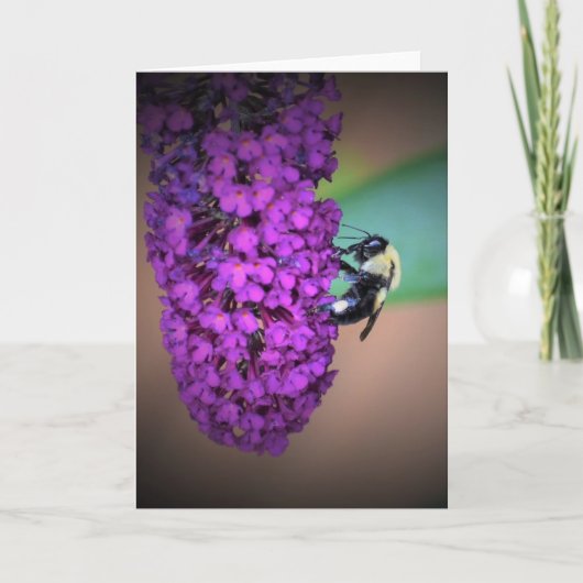 Bijen, kaart (Voorkant)