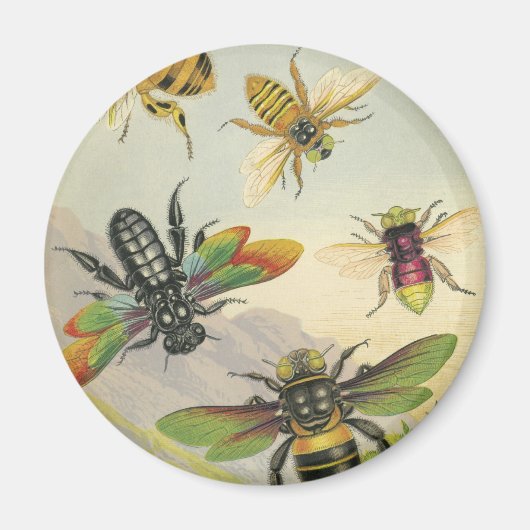 Bijen Magneet (Voorkant)