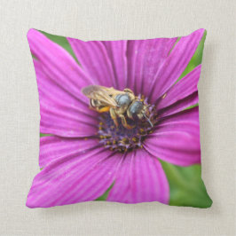 Bijen op een bloeiend Sierkussen