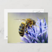 Bijen op een bloem briefkaart (Voorkant / Achterkant)