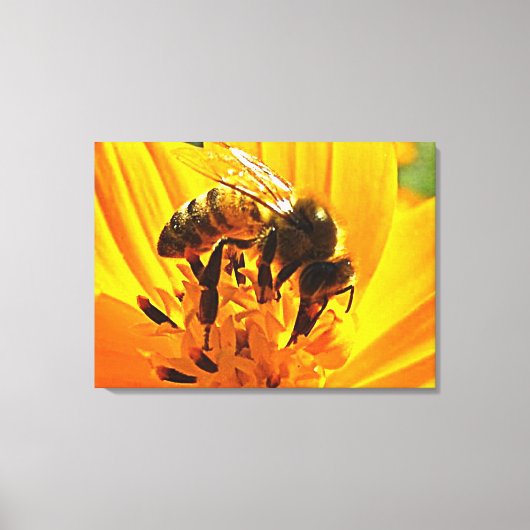 Bijen op een ventilator canvas afdruk (Voorkant)