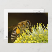 Bijen op het werk briefkaart (Voorkant / Achterkant)