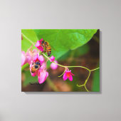 Bijen op koraalwijnbloemen canvas afdruk (Voorkant)