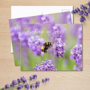 Bijen op lavendel denken aan je Briefkaart