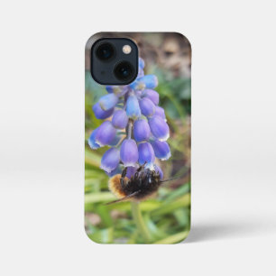 Bijen op Muscari Armeniacum, Grape Hyacinth iPhone 13 Mini Hoesje