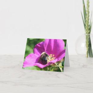 Bijen op Roze Roos Natuurfotografie Notitie Kaart