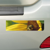 Bijen op zonnebloem bumpersticker (Op auto)