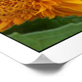 Bijen op zonnebloem I Poster (Hoek)