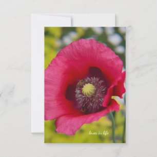 Bijen & papaver notitiekaartje