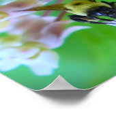 Bijen, Poster (Hoek)