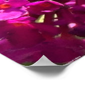 Bijen, Poster (Hoek)