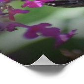 Bijen, Poster (Hoek)