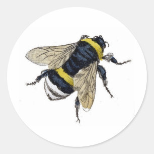 bijen ronde sticker