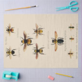  bijen tissuepapier (Craft)