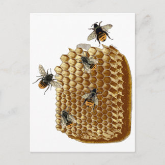 Bijenafdrukken, Honeycomb Illustratie,  Briefkaart