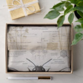  bijendiagram tissuepapier (Geschenk)