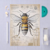  bijendiagram tissuepapier (Craft)