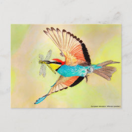 Bijeneter, kleurrijke vogel bij vluchtillustratie briefkaart