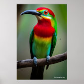 Bijeneter met rode baard poster (Voorkant)