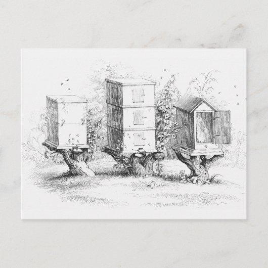 bijenhoning briefkaart (Voorkant)