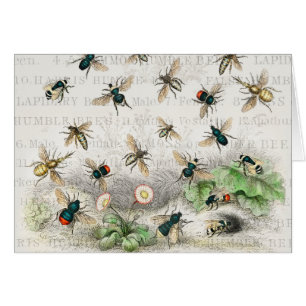 Bijenhoningwerker Queen Bees Antiek