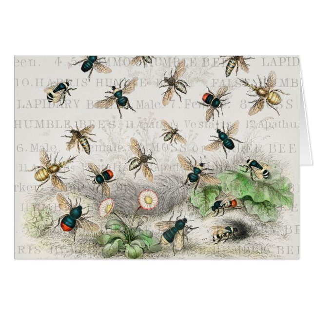 Bijenhoningwerker Queen Bees Antiek (Voorkant Horizontaal)