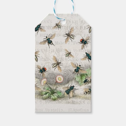 Bijenhoningwerker Queen Bees Antiek Cadeaulabel (Voorkant)