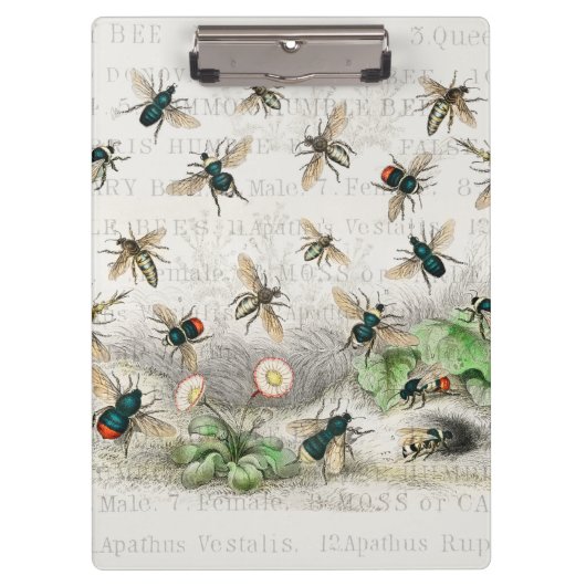 Bijenhoningwerker Queen Bees Antiek Klembord (Voorkant)