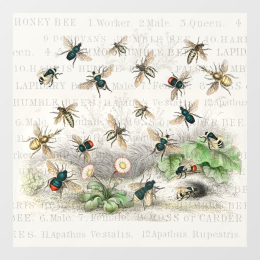 Bijenhoningwerker Queen Bees Antiek Raamsticker (Vel)