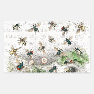 Bijenhoningwerker Queen Bees Antiek Rechthoekige Sticker