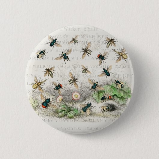 Bijenhoningwerker Queen Bees Antiek Ronde Button 5,7 Cm (Voorkant)