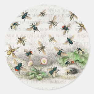 Bijenhoningwerker Queen Bees Antiek Ronde Sticker