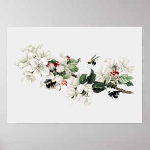  bijenillustratie poster