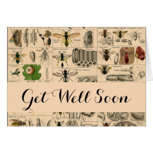 Bijeninsect insect wesp natuurlijke Natuur bijen s