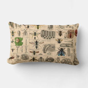 Bijeninsect insect wesp natuurlijke Natuur bijen s Kussen