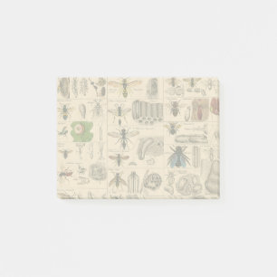 Bijeninsect insect wesp natuurlijke Natuur bijen s Post-it® Notes