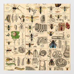 Bijeninsect insect wesp natuurlijke Natuur bijen s Raamsticker