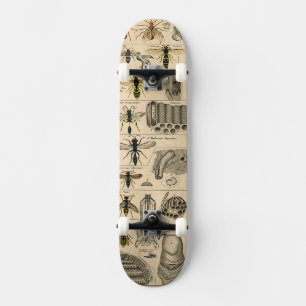 Bijeninsect insect wesp natuurlijke Natuur bijen s Skateboard