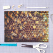 bijenkorf tissuepapier (Craft)