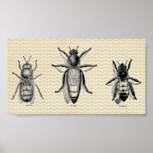 bijenkunst poster
