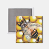 Bijenmagneet Magneet (Voorkant / Achterkant)