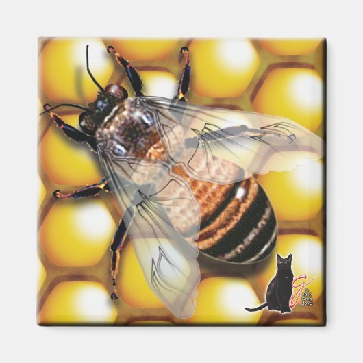 Bijenmagneet Magneet (Voorkant)