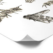 bijentekening poster (Hoek)