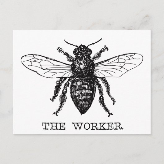Bijenwerker Honing Zwarte hommel Briefkaart (Voorkant)