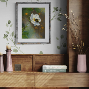 Bijenwolf Bijen Pollineren Witte Cosmos Bloem Foto Afdruk