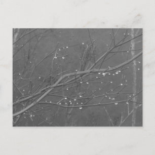 Bijkantoor in de regen briefkaart